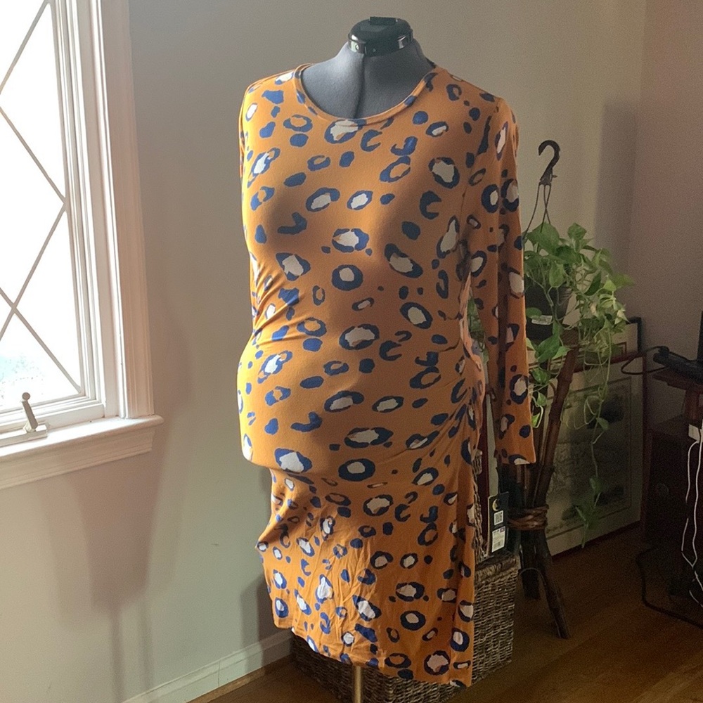 Target x Philip Liam dress